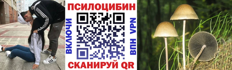 как найти закладки  Липецк  Псилоцибиновые грибы мухоморы 
